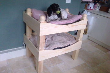 001-dog-bunk-beds-completed-with-dog-in-top-bunk