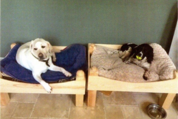 014-dogs-on-handmade-dog-bunk-bed-2